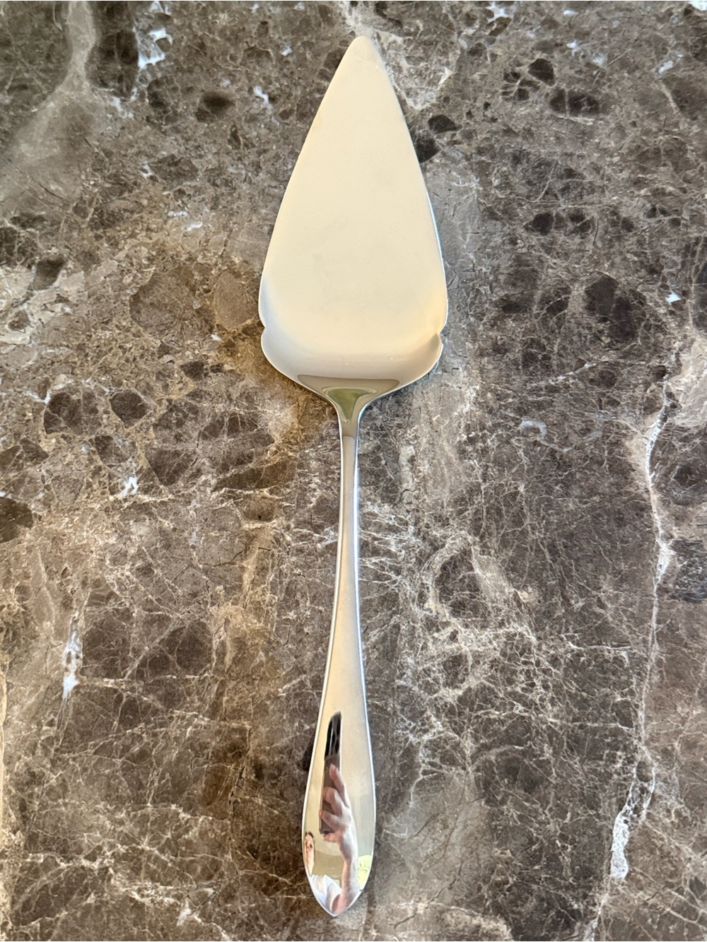 Gorham Meredith Stainless Pie Server - Silver, NWOB